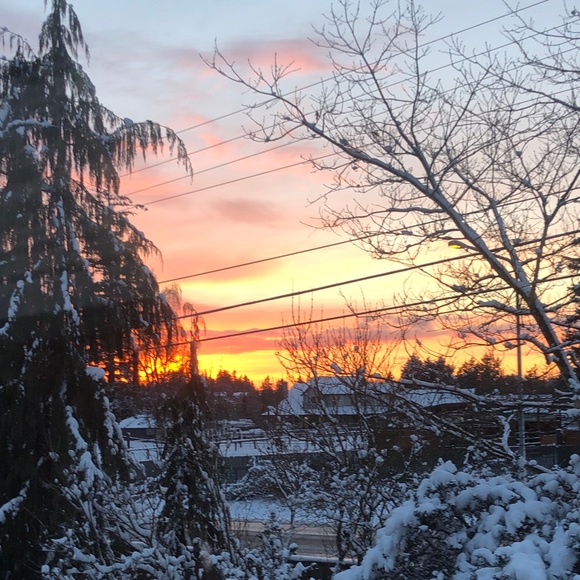 Meet your Posher, Joyce - Picture 5 of 6